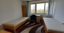 OSIJEK,DVOSOBAN STAN 35 m2, NAJAM, VUKOVARSKA